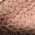 Oasis Copper