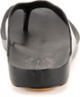 Heel